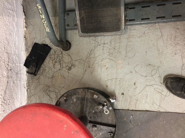 55141301-EDAE-4229-BA33-D0D3B0831366.jpeg
